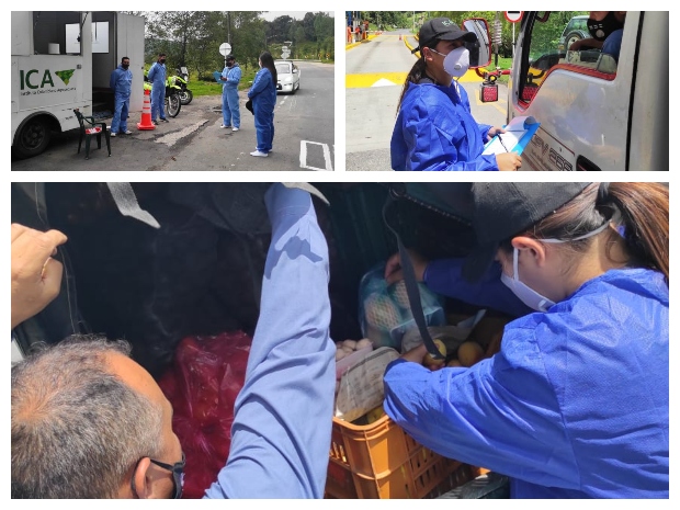 En Boyacá, el ICA refuerza actividades de control a la  movilización de material vegetal   