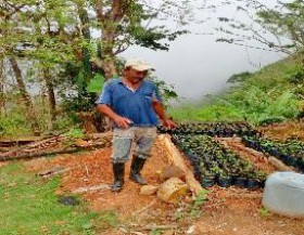 foto-2-vivero-de-cafe-castillo-finca-la-esmeralda-vereda-cerro-bustos.jpg