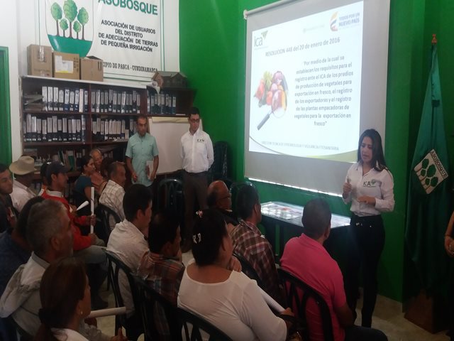 Productores de gulupa de Cundinamarca buscan abrir nuevos mercados internacionales 