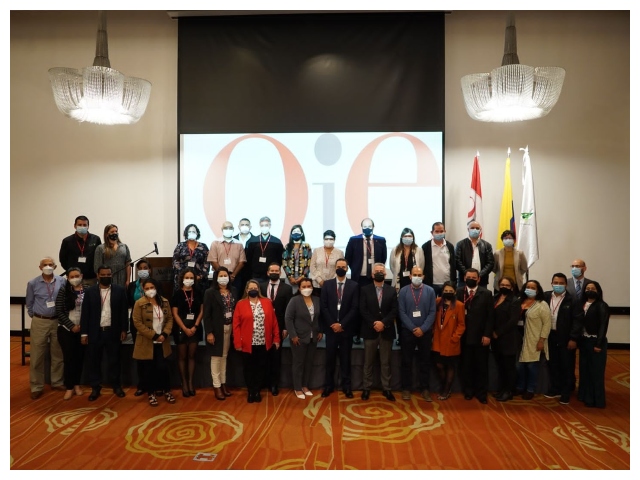 Con éxito se realizó el Seminario Regional para los puntos focales de los animales acuáticos de la OIE 