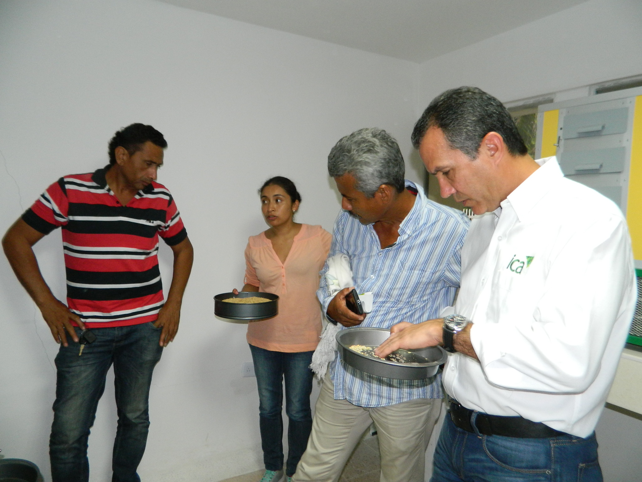 En-laboratorio-de-referencia-de-arroz-(2).JPG En-laboratorio-de-referencia-de-arroz-(2).JPG