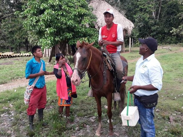 En temas sanitarios fueron capacitados ganaderos del Chocó 