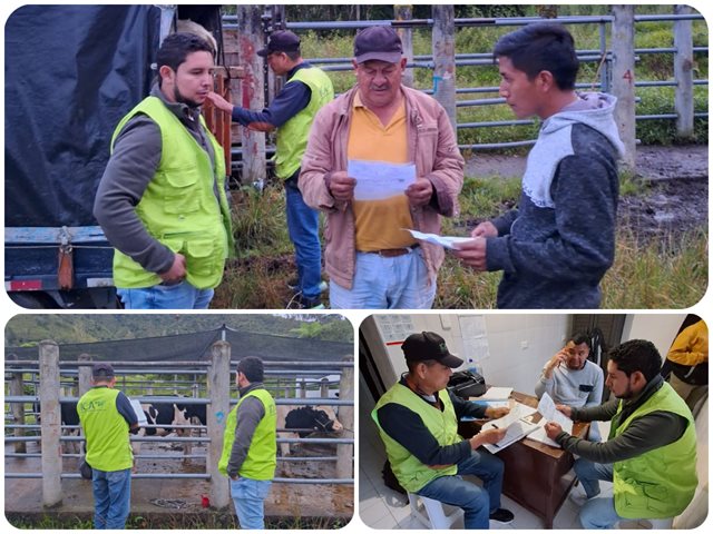 Prevención es sanidad: ICA garantiza la inocuidad de productos cárnicos en Putumayo