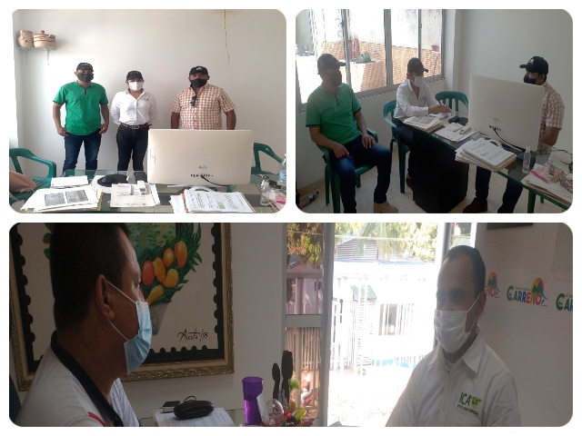 En Vichada trabajo interinstitucional para controlar la langosta llanera