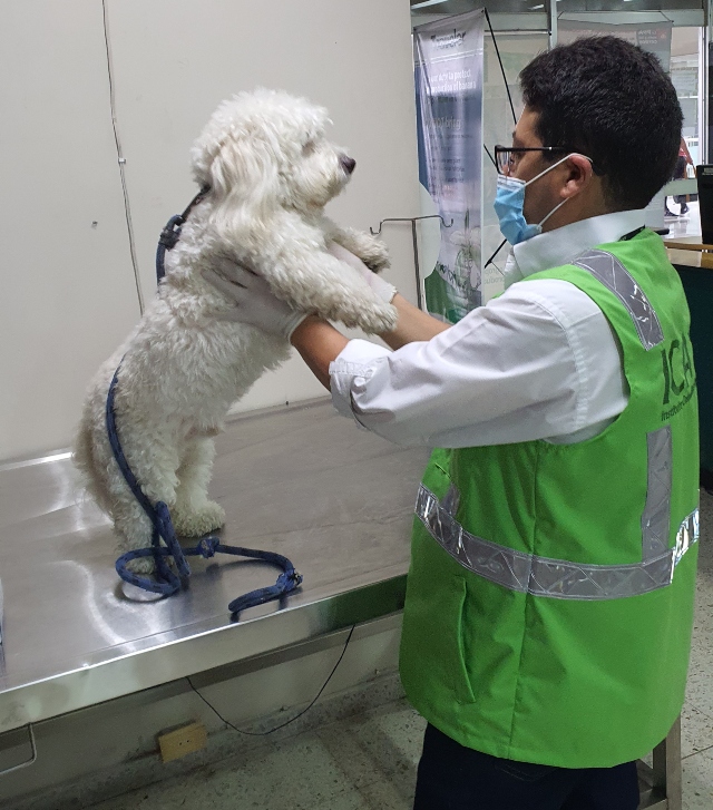 Foto-ICA-aeropuerto-Alfonso-Bonilla-Aragon-inspeccion-mascotas-1.jpg