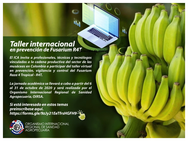 Invitación taller.