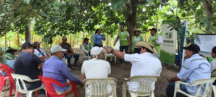 ICA-MONTERIA-1092025.jpeg