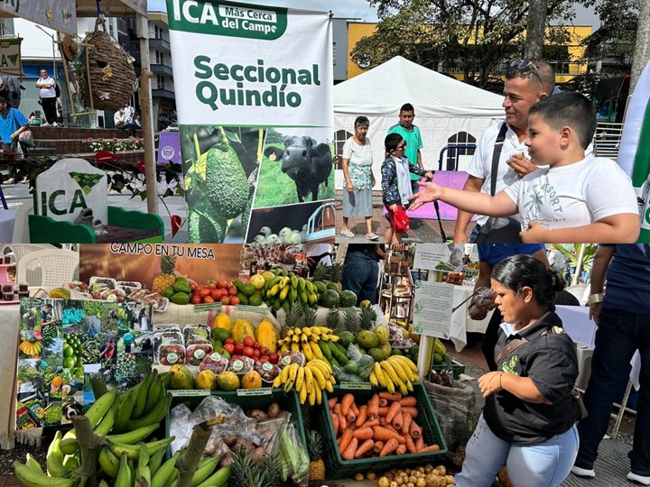 ICA-QUINDIO-18062025-1.jpg