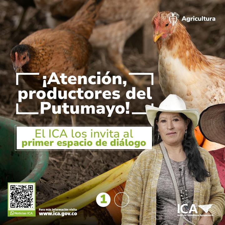 WhatsApp-Image-2024-06-20-at-4-41-40-PM.jpeg WhatsApp-Image-2024-06-20-at-4-41-40-PM.jpeg
