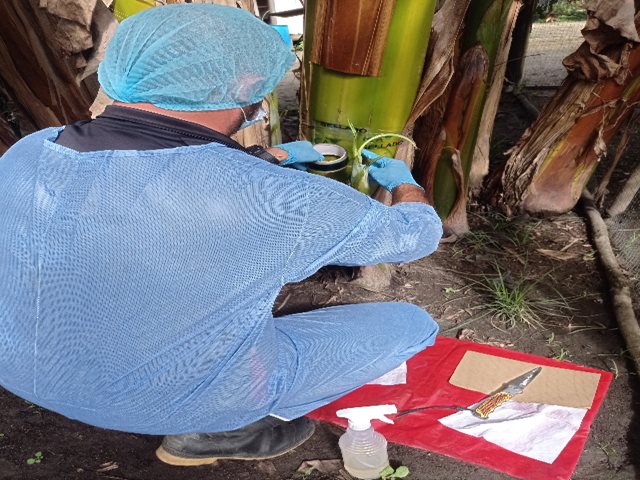 Jornada de toma de muestras en Guainía 