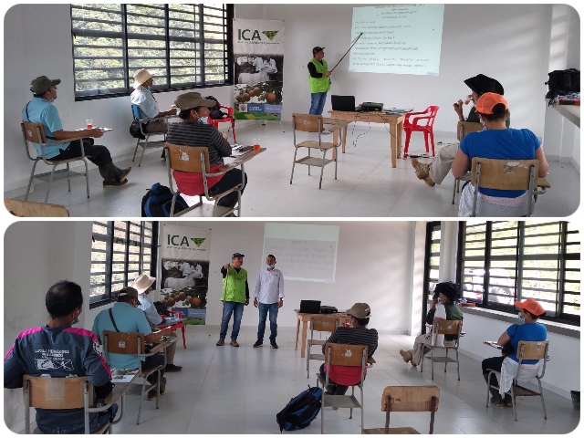 El ICA en el Caquetá realizó jornada de comunicación del riesgo sobre el manejo fitosanitario del cultivo de café