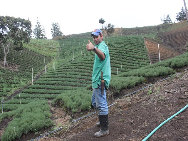 El 31 de marzo vence plazo para el pago de la tarifa de renovación de registros de variedades vegetales protegidas  