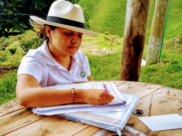 Antioquia, departamento líder en registro de predios para exportación de vegetales frescos 