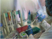 Laboratorio del Ica primero de América Latina en obtener certificación para diagnosticar Influenza Aviar 