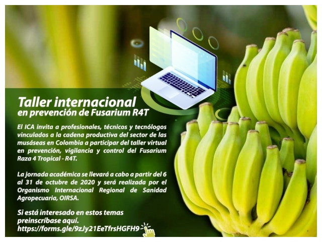 Invitación taller.