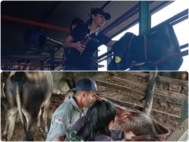 Participantes en la jornada.