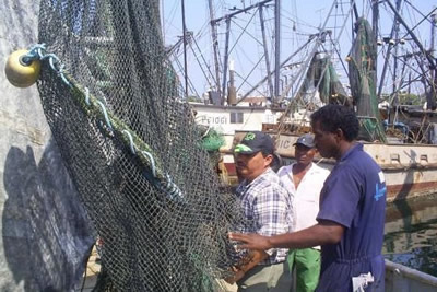 Convocatoria del Ica para directores regionales de pesca