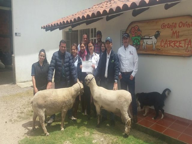 El ICA certificó primer predio ovino caprino en Buenas Prácticas Ganaderas,  en Cundinamarca  