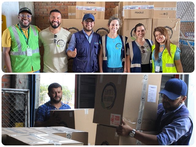 Exportación de Cannabis sativa flor seca