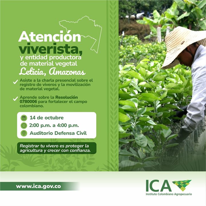 AMAZONAS.jpeg AMAZONAS.jpeg