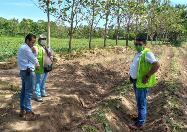 Foto-ICA-Visitas-predios-exportadores-papaya-y-batata-1.jpg