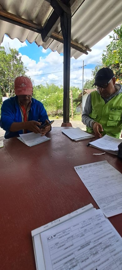 ICA-QUINDIO-10122024-1.jpg