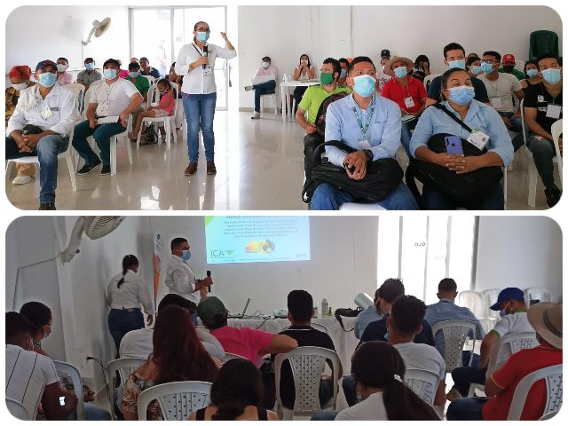 Para mejorar la sanidad de los cultivos, el ICA capacitó a productores agrícolas del Cesar en normatividad fitosanitaria 