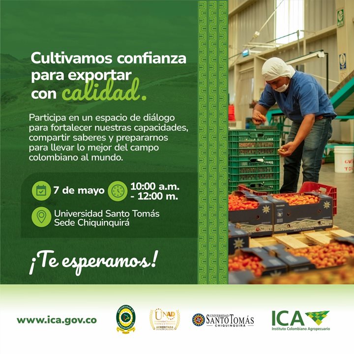 MERCADOS.jpeg