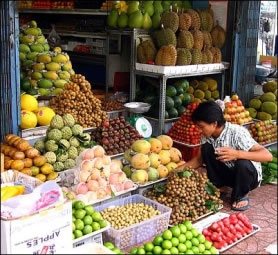 ICA, representante oficial de Colombia en sesión del Codex Alimentarius