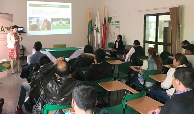 En Nariño, el ICA capacita en normatividad que regula entrega de aves de postura en proyecto de seguridad alimentaria