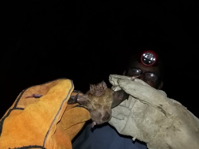 El ICA se adentra en la selva amazónica para controlar la rabia de origen silvestre