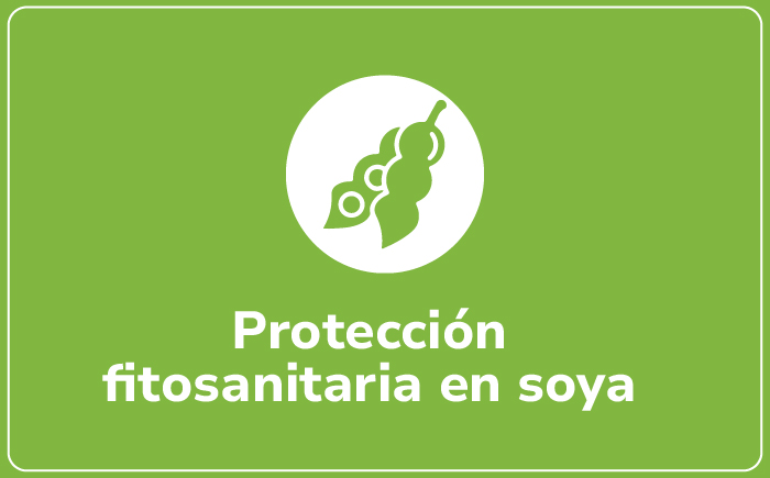 Soya