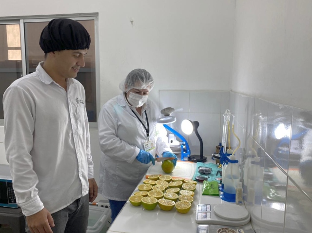 1.198 toneladas de cítricos dulces colombianos han sido enviadas a EEUU, Puerto Rico y República Dominicana
