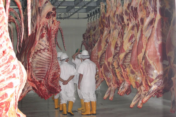 ICA descarta fiebre aftosa en Frigorífico Vijagual