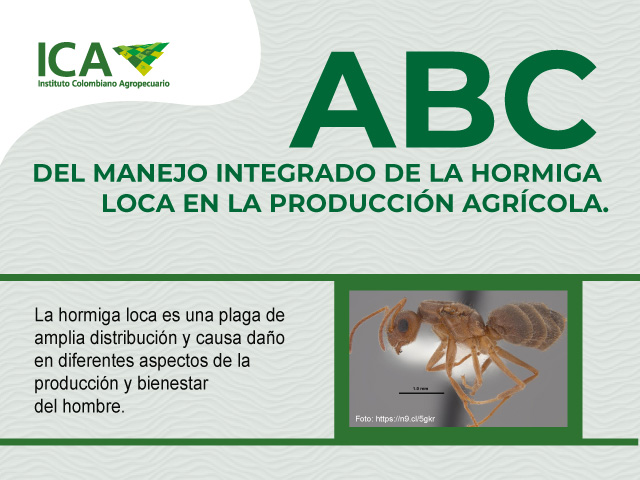 Portada documento