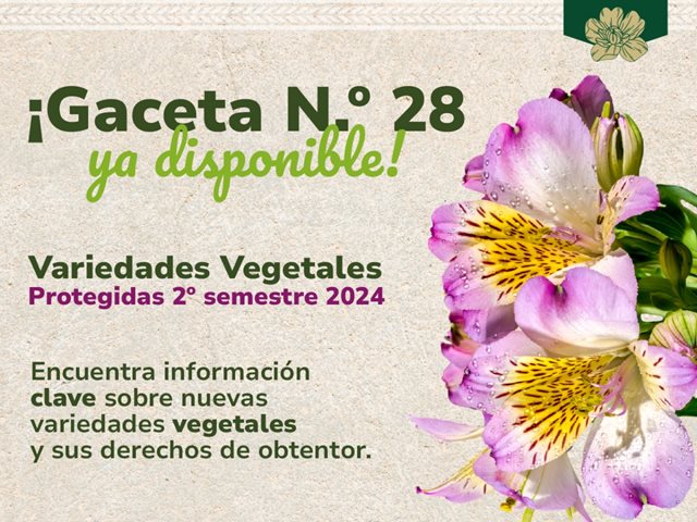 Gaceta de Variedades Vegetales Protegidas – No. 28- semestre II-2024 