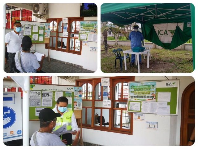 En el Amazonas el ICA inspecciona, vigila y controla los puntos fronterizos