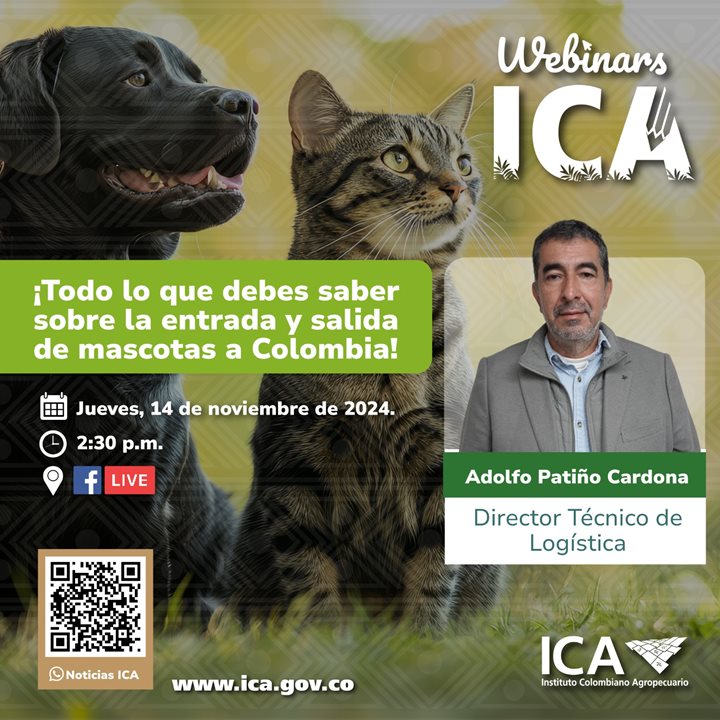 WEBINARSMASCOTAS.jpeg