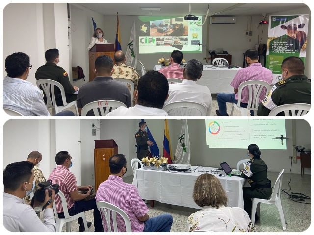 Evaluacion acciones del CIIP