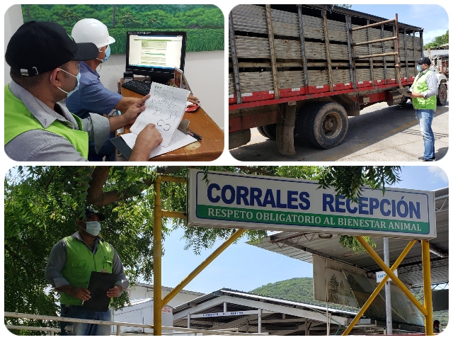 Inspección plantas de beneficio