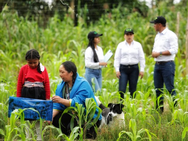Putumayo marca un hito: 32 mujeres indígenas Kamëntsá se han convertido en guardianas de semillas nativas