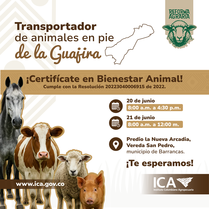 Transporte-de-animales-Guajira_Mesa-de-trabajo-1-copia-1.png