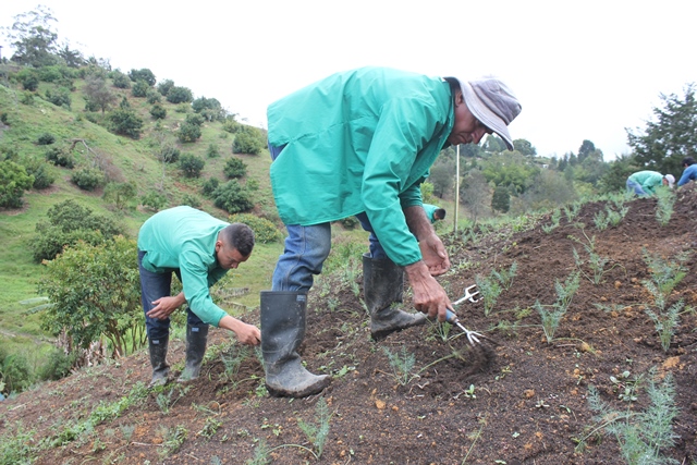 El ICA y ProColombia realizarán simposio en tratamiento de irradiación fitosanitaria para exportación de frutas y verduras 