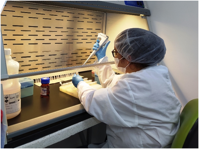 Laboratorios ICA.
