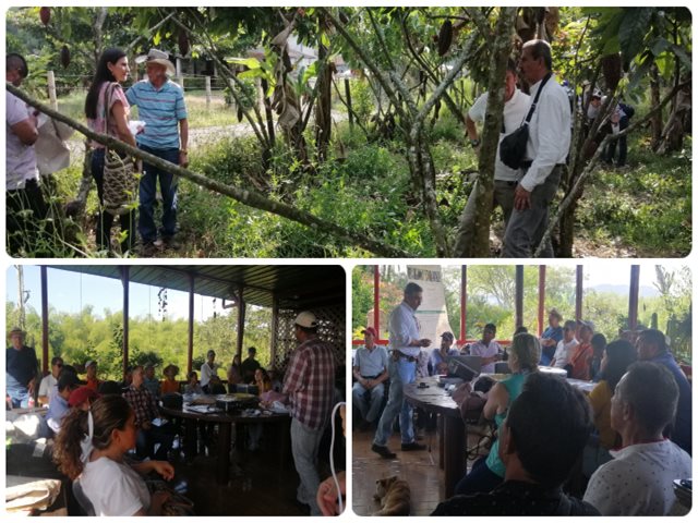 Educomunicación con cacaoteros del Quindío.