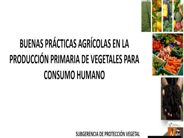 Con éxito finalizaron los talleres enfocados al fortalecimiento de la comercialización de productos