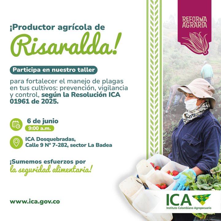 RSARALDA.jpeg