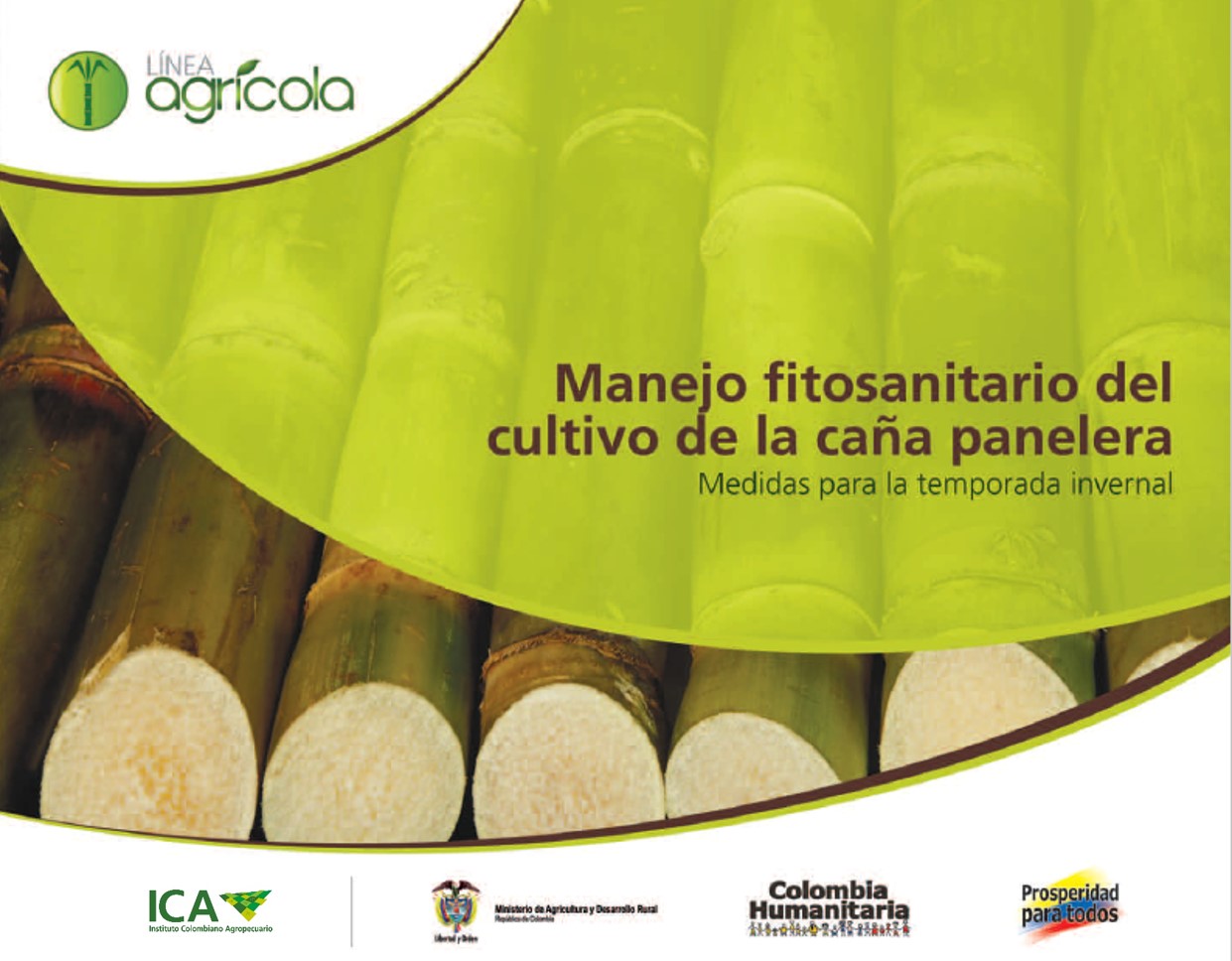 Imagen de Manejo fitosanitario del cultivo de la caña panelera