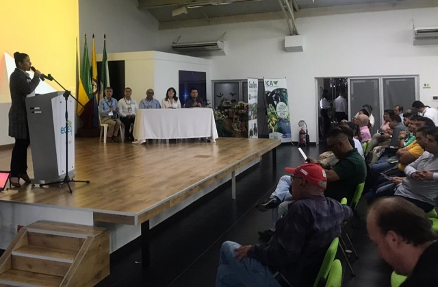  El ICA trabaja para el manejo sostenible del aguacate Hass en el Quindío 