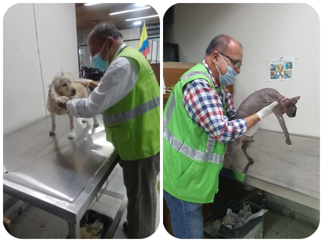  Aeropuerto Alfonso Bonilla Aragón  inspección mascotas 